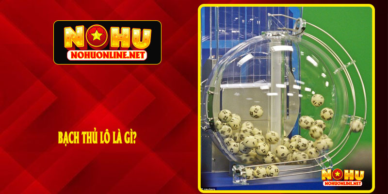 Bạch Thủ Lô Là Gì?