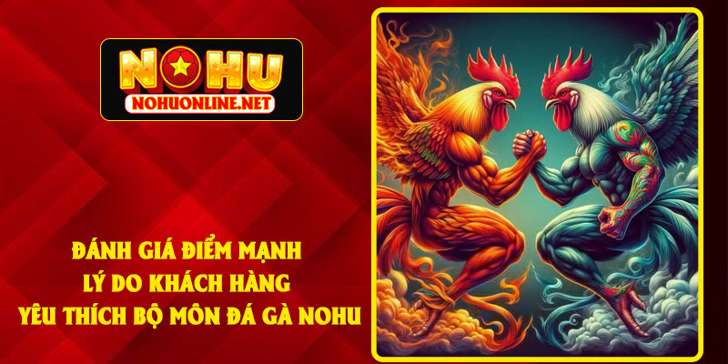 Đánh Giá Điểm Mạnh - Lý Do Khách Hàng Yêu Thích Bộ Môn Đá Gà NOHU