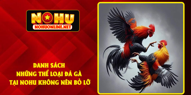 Danh Sách Những Thể Loại Đá Gà Tại NOHU Không Nên Bỏ Lỡ