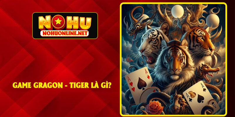 Mẹo Chơi Gragon - Tiger Đỉnh Cao Tại Nhà Cái NOHU