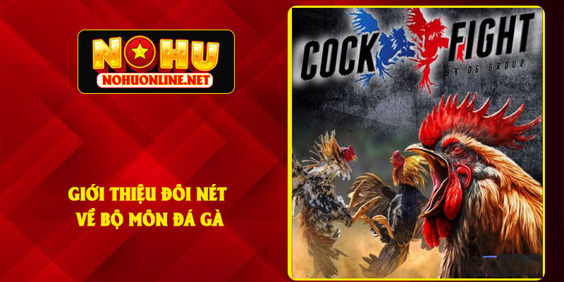Giới Thiệu Đôi Nét Về Bộ Môn Đá Gà