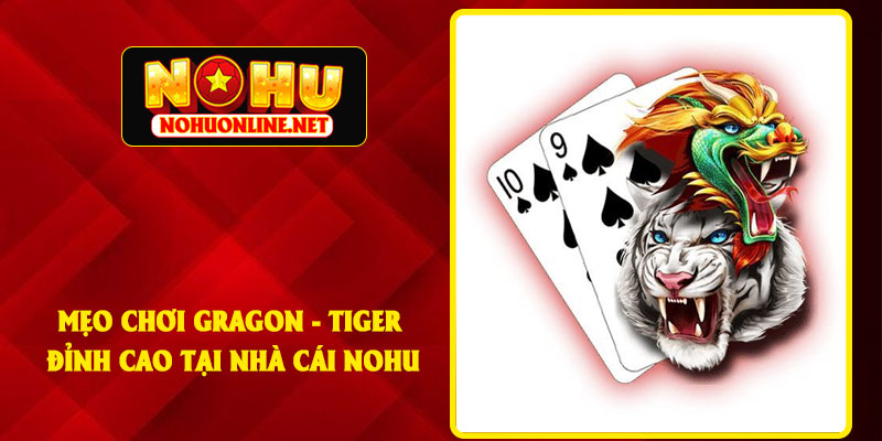 Mẹo Chơi Gragon - Tiger Đỉnh Cao Tại Nhà Cái NOHU